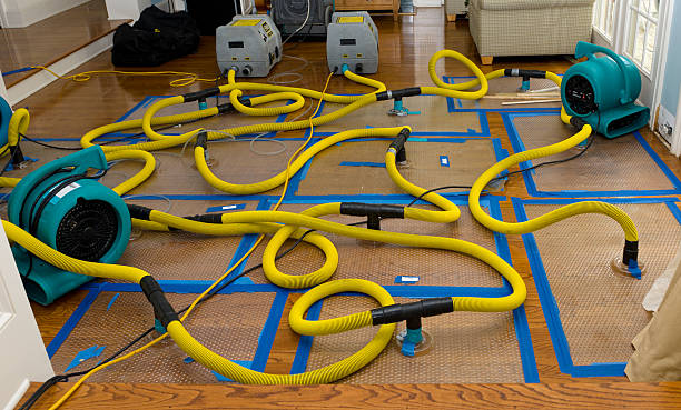 Professional Burst Pipe Water Damage technician working in Patton, CA
